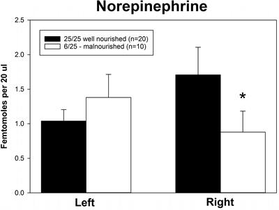 Prenatal Protein Malnutrition Leads to Hemispheric Differences in the Extracellular Concentrations of Norepinephrine, Dopamine and Serotonin in the Medial Prefrontal Cortex of Adult Rats